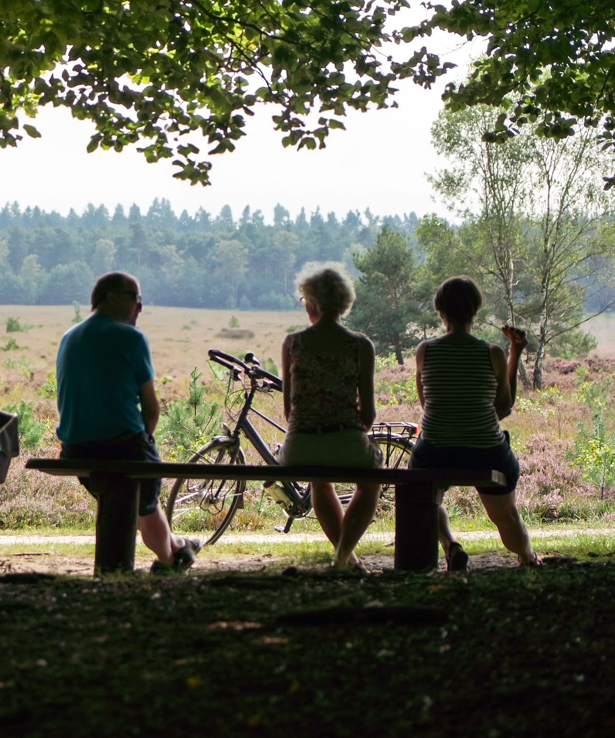 Fietsen-de-Berk